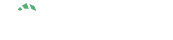 PSignite_Logo New (2)