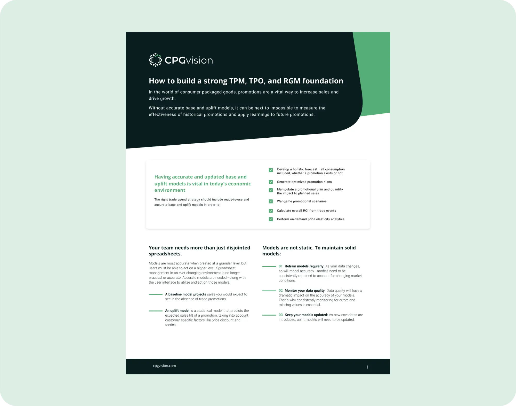 Asset preview image-Build a Strong TPM, TPO and RGM Foundation [CPGvision]