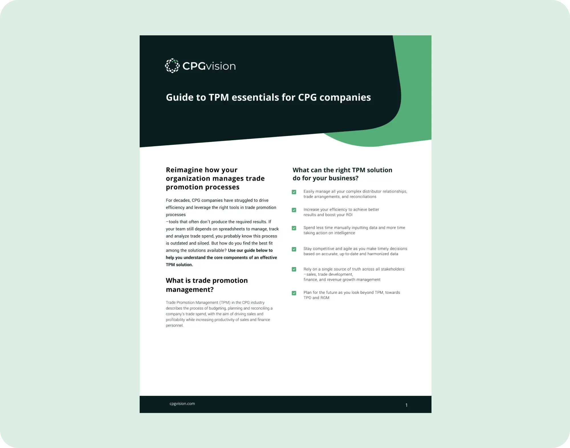 Asset preview image-TPM Essentials for CPG companies [CPGvision]