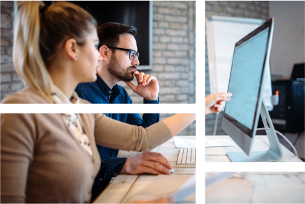 Colleagues using trade promotion optimization software