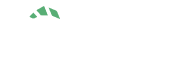 PSignite_Logo 9