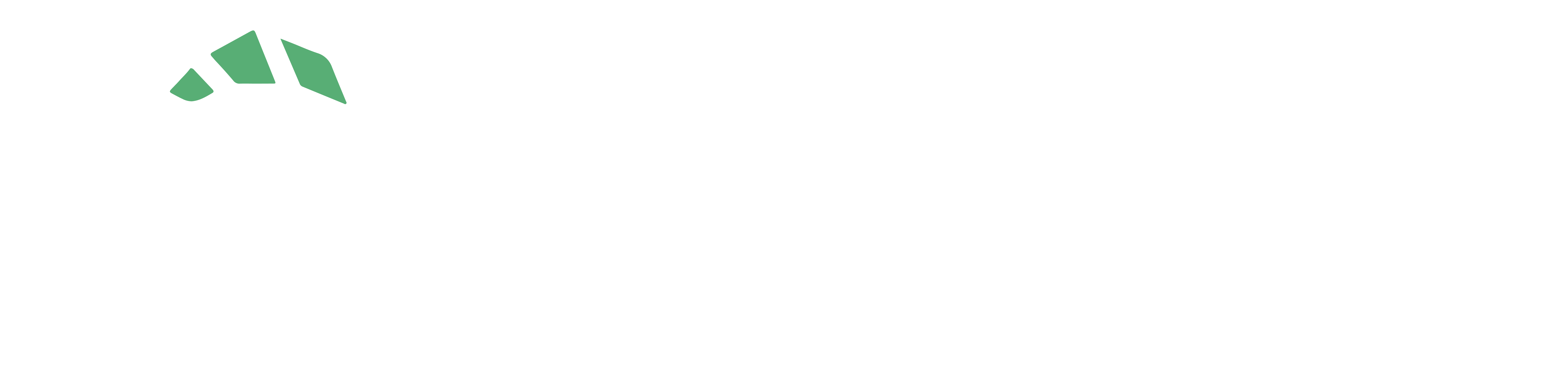PSignite_Logo New (2)-1