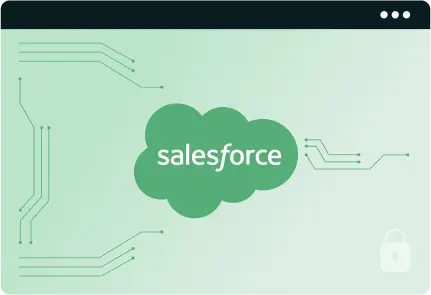 Salesforce security review